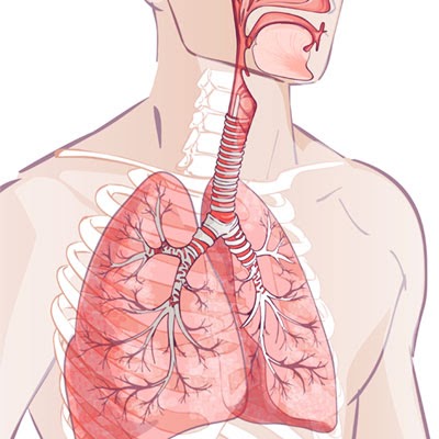 bronquitis crónica en sevilla